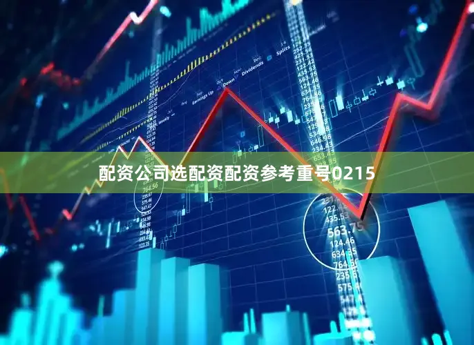 配资公司选配资配资参考重号0215