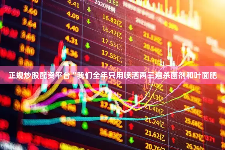 正规炒股配资平台“我们全年只用喷洒两三遍杀菌剂和叶面肥